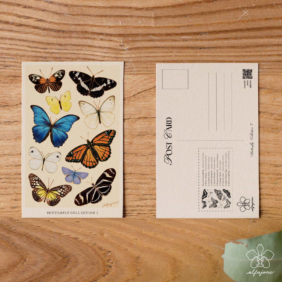 Butterfly Collection I Postcard