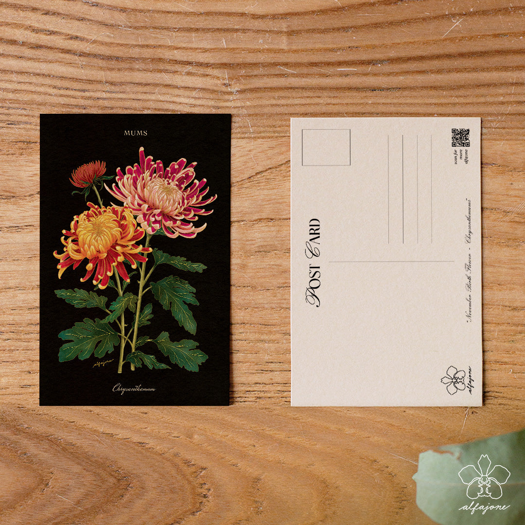 Chrysanthemum - November Birth Flower Postcard