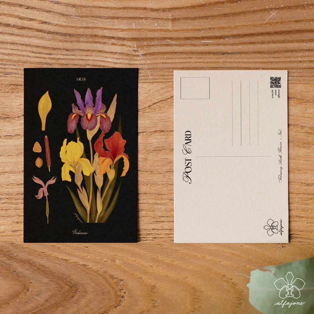 Iris - February Birth Flower Postcard