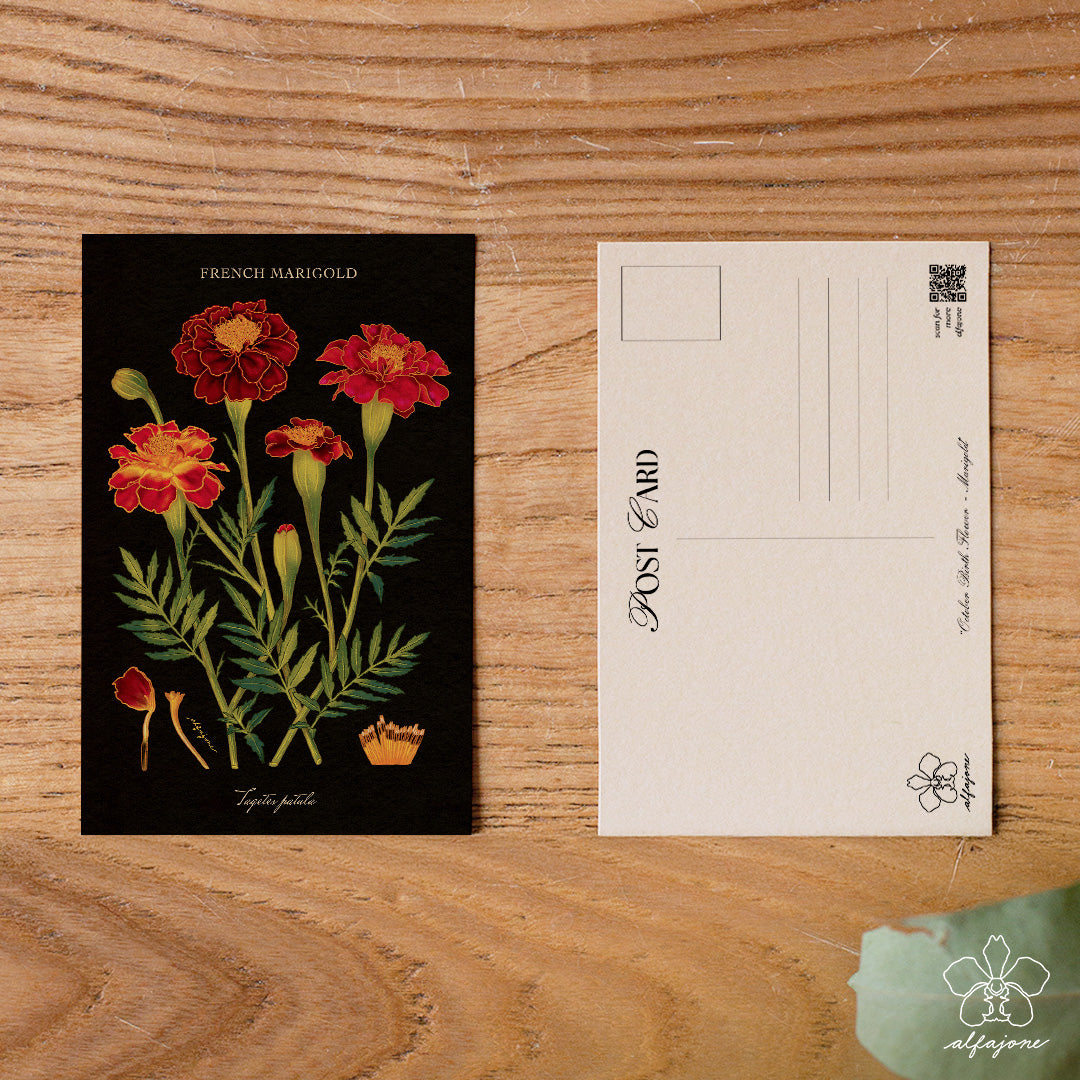 Marigold - October Birth Flower Postcard