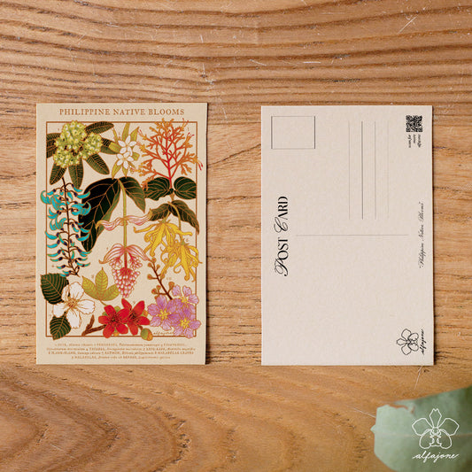Philippine Native Blooms Postcard