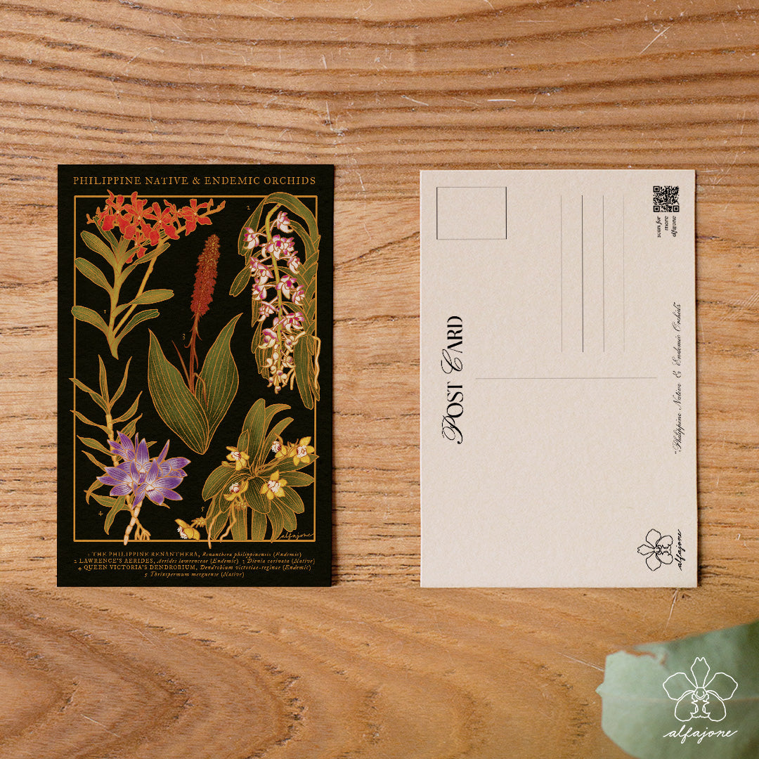 Philippine Native Orchids Postcard