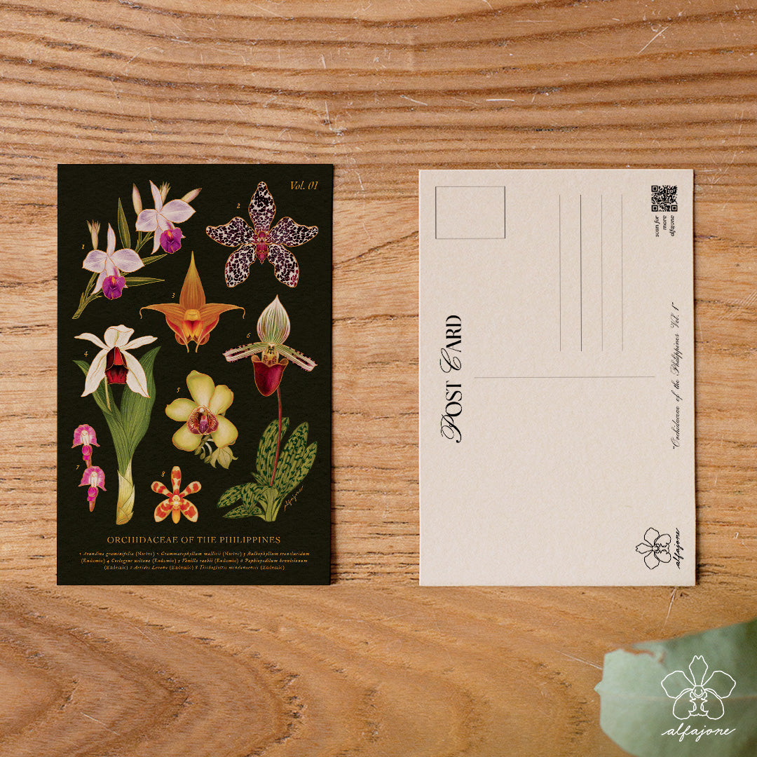 Philippine Orchidaceae Vol. 1 Postcard