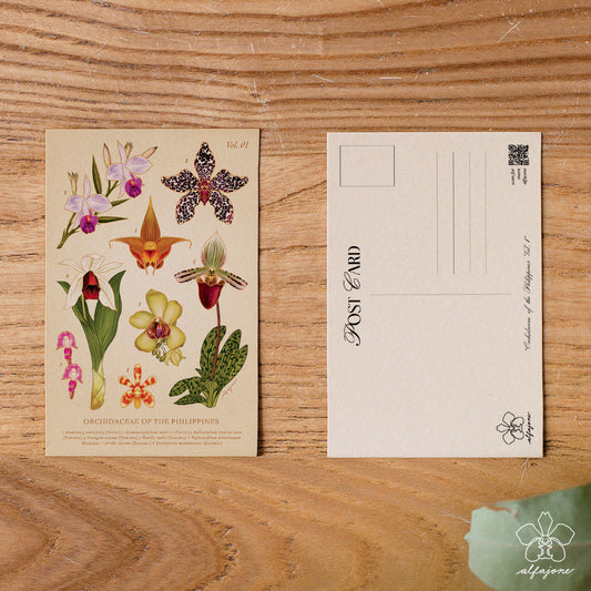 Philippine Orchidaceae Vol. 1 Postcard