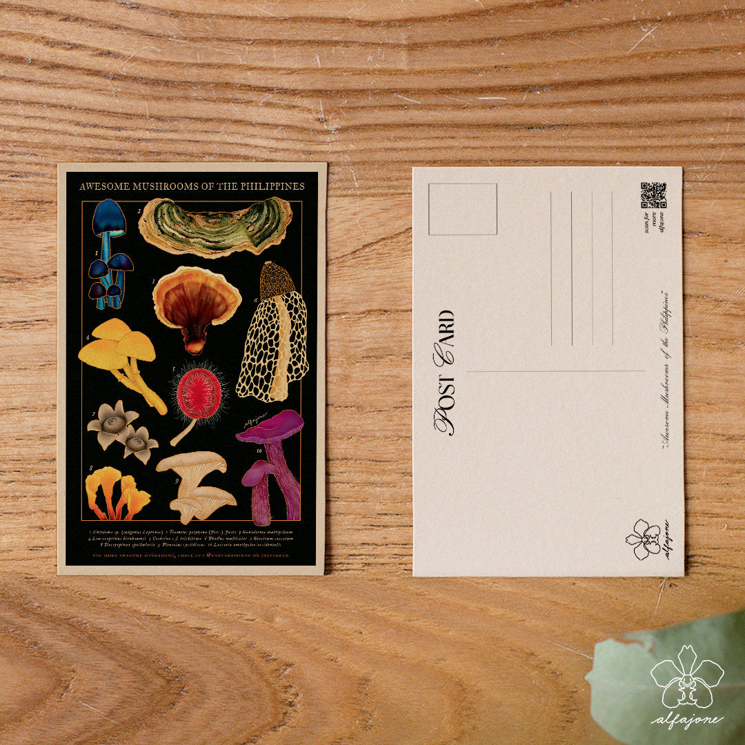 Awesome Mushrooms of the Philippines Postcard