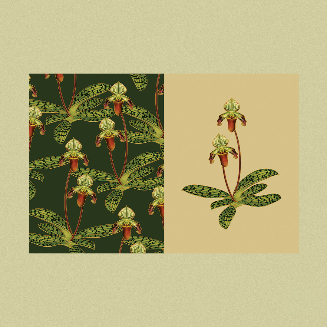 Transient Lifeforms Tearable Prints