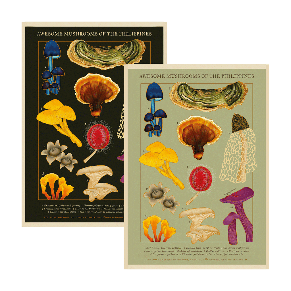 [Pre-Order] Awesome Mushrooms of the Philippines A4 Print