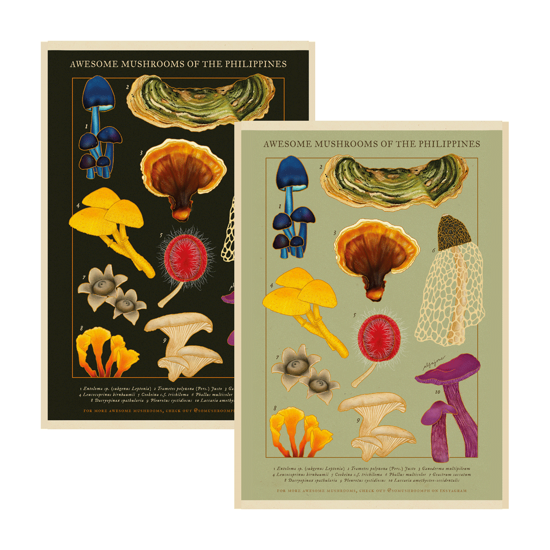 [Pre-Order] Awesome Mushrooms of the Philippines A4 Print