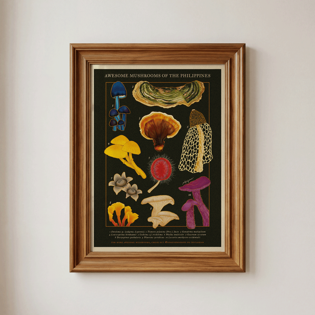 [Pre-Order] Awesome Mushrooms of the Philippines A4 Print