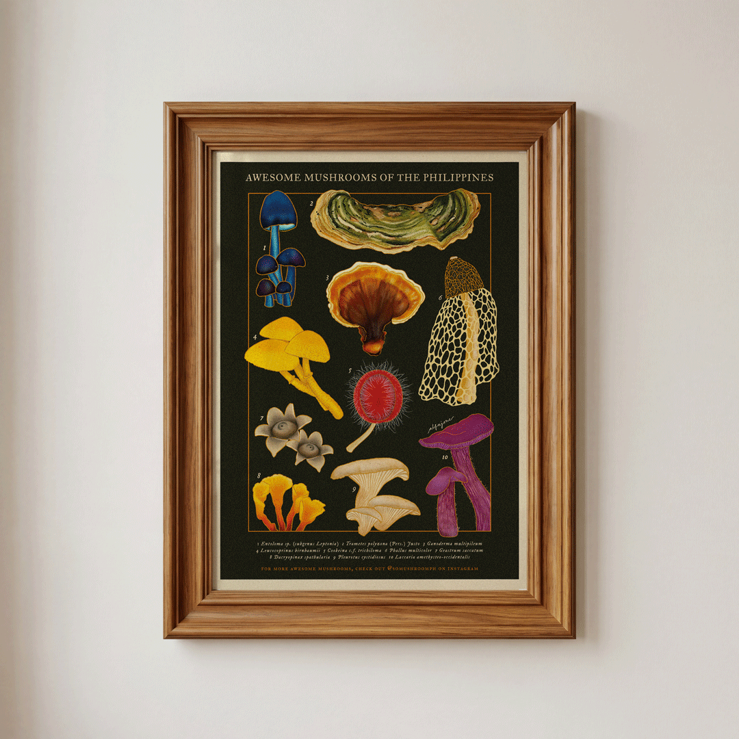 [Pre-Order] Awesome Mushrooms of the Philippines A4 Print
