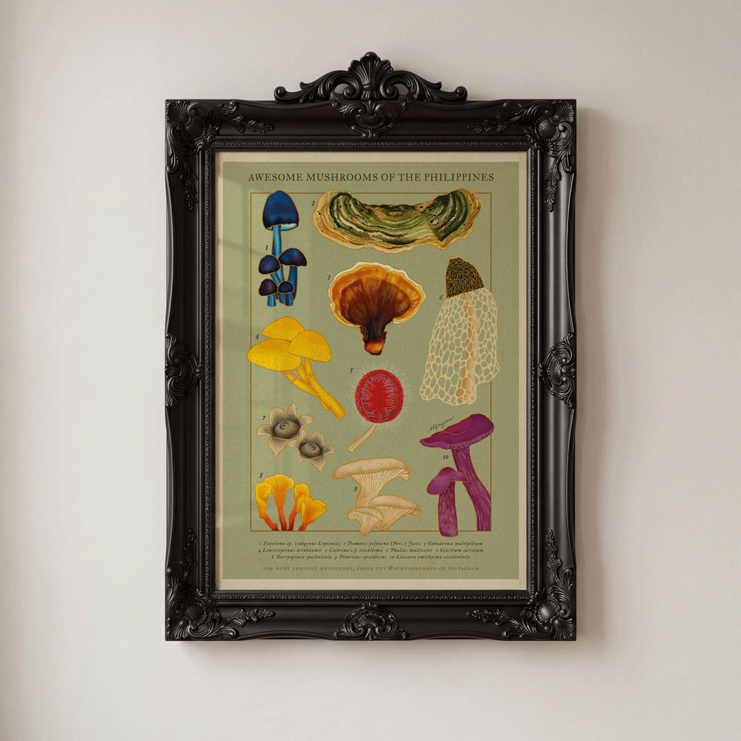 [Pre-Order] Awesome Mushrooms of the Philippines A4 Print