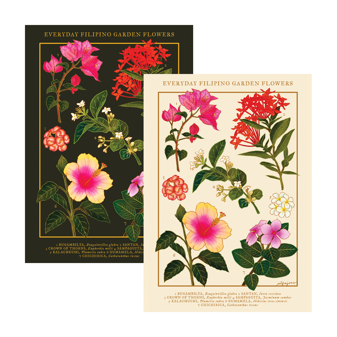 [Pre-Order] Everyday Filipino Garden Flowers A4 Print