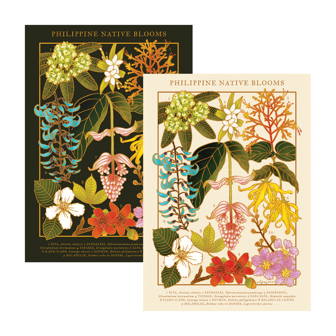 [Pre-Order] Philippine Native Blooms A4 Print