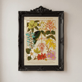 [Pre-Order] Philippine Native Blooms A4 Print