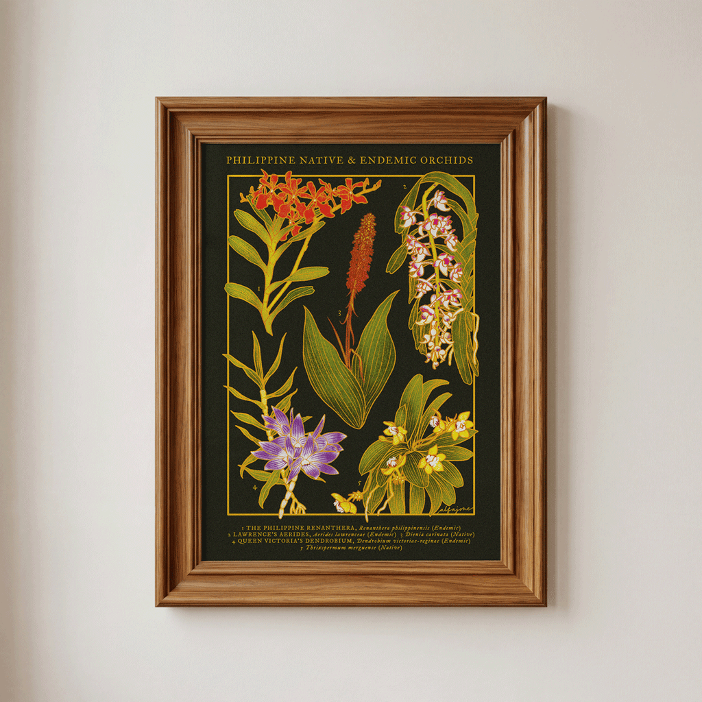 [Pre-Order] Philippine Native & Endemic Orchids A4 Print