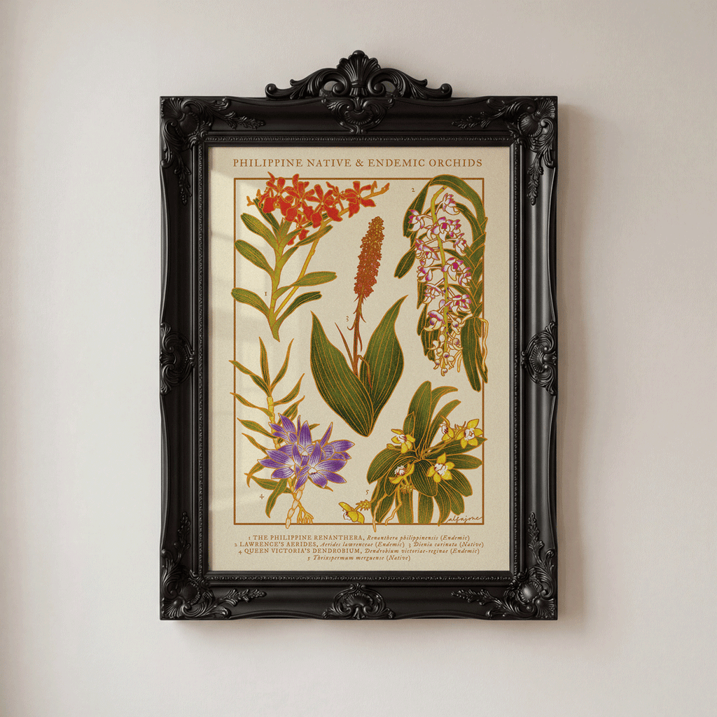 [Pre-Order] Philippine Native & Endemic Orchids A4 Print