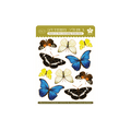 Butterfly Study A Journaling Sticker Sheet