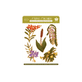 Native Orchids Journaling Sticker Sheet