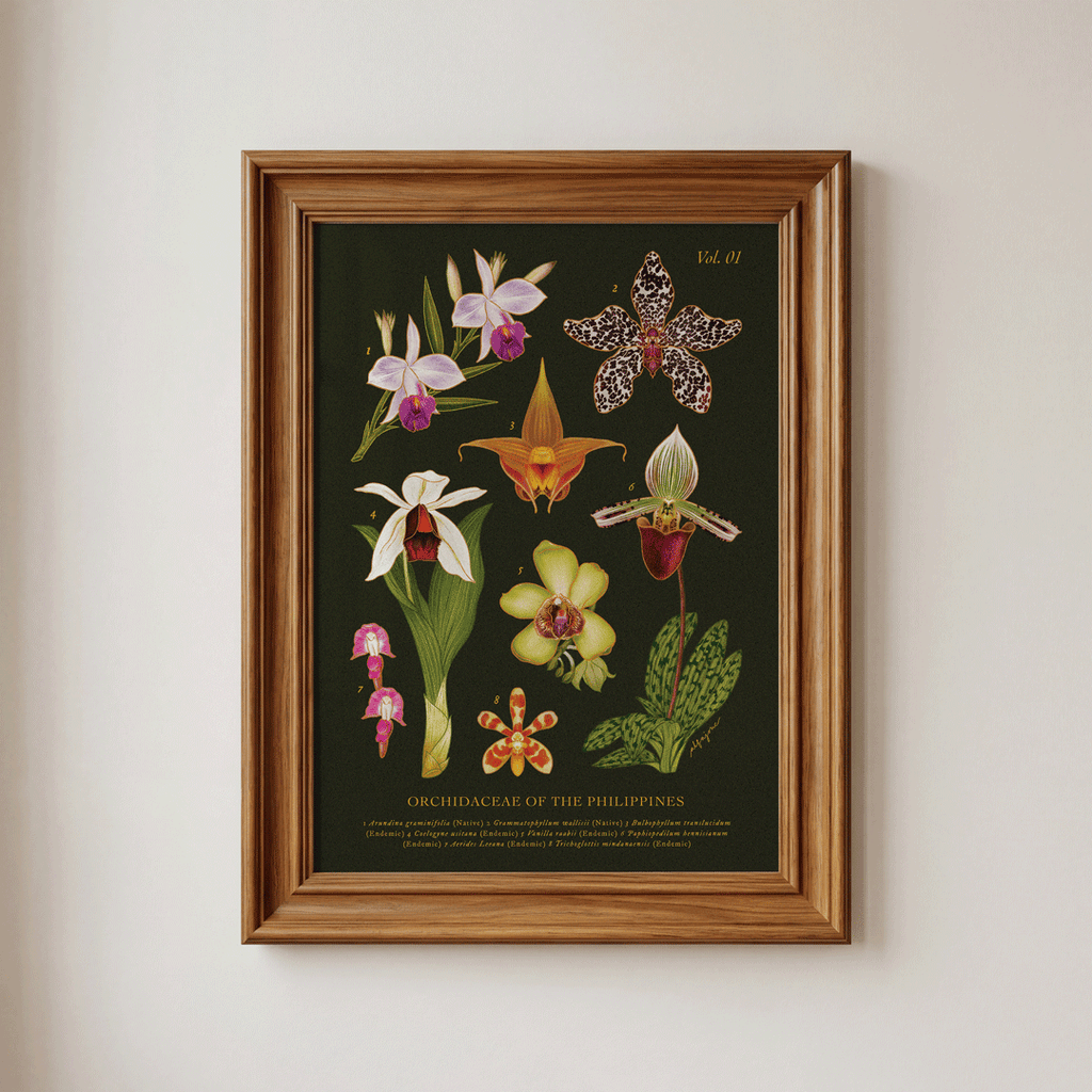 [Pre-Order] Philippine Orchidaceae Vol. 1 A4 Print