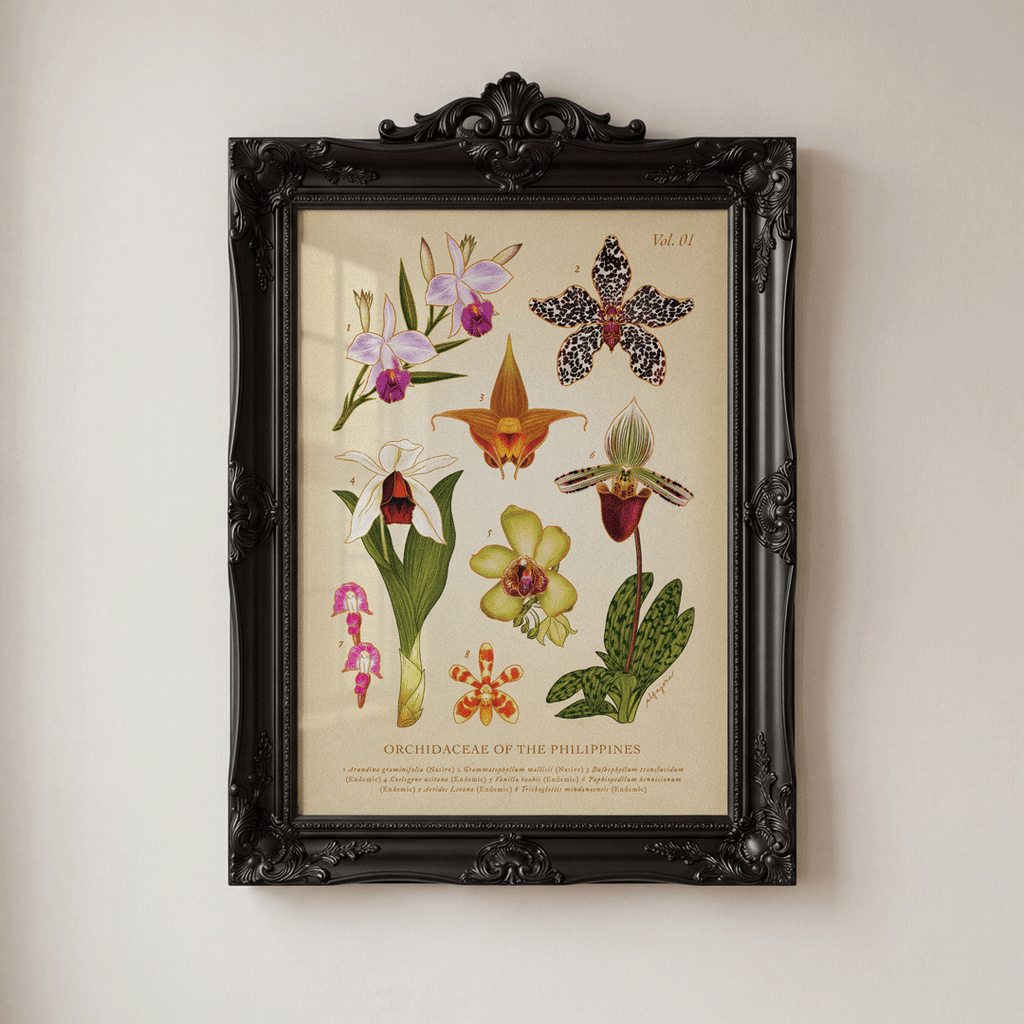[Pre-Order] Philippine Orchidaceae Vol. 1 A4 Print