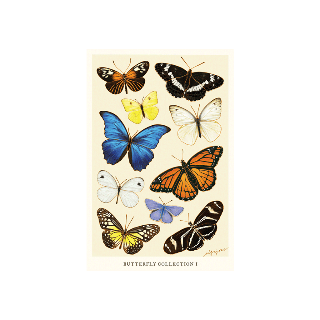 Butterfly Collection I Postcard