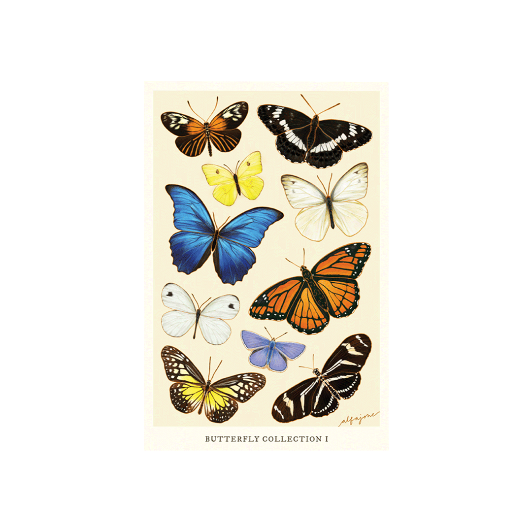 Butterfly Collection I Postcard