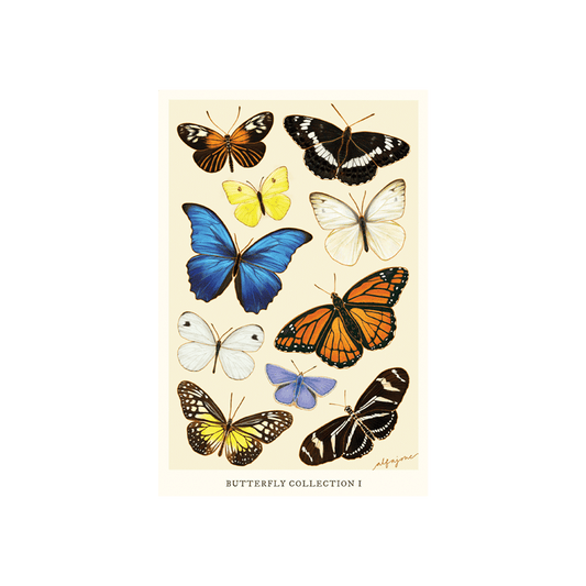 Butterfly Collection I Postcard