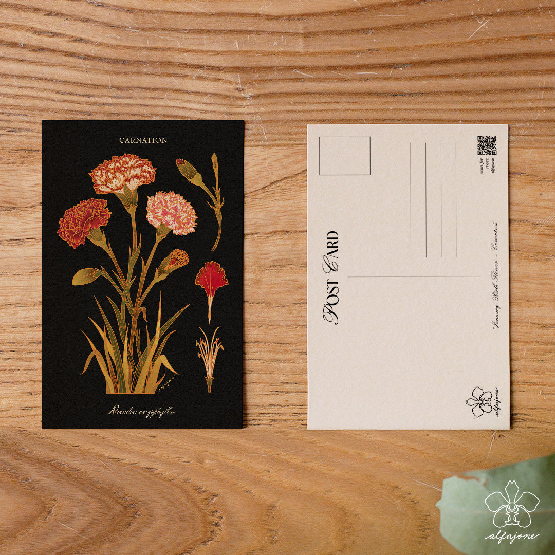 Carnation - January Birth Flower Postcard