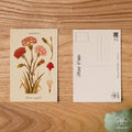 Carnation - January Birth Flower Postcard
