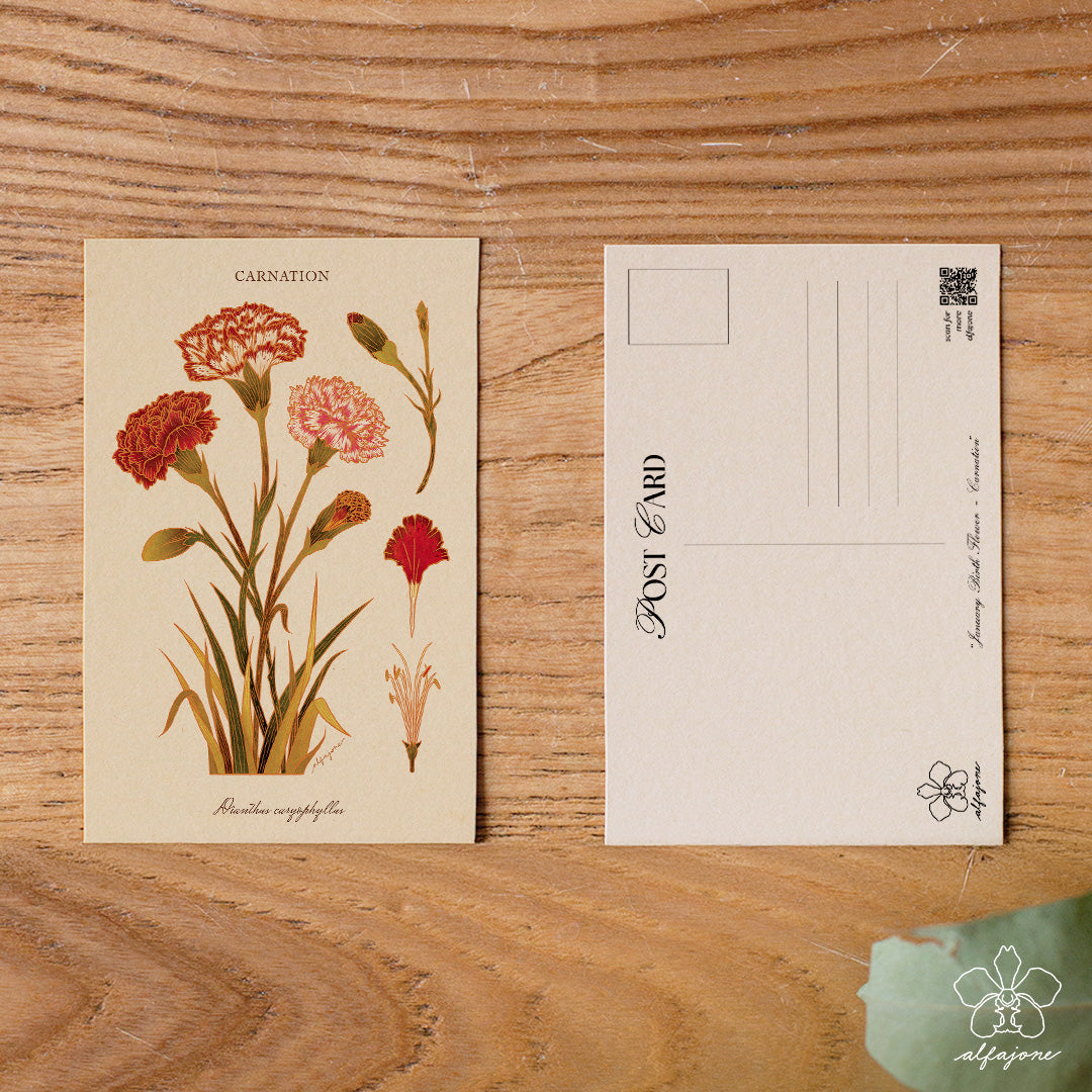 Carnation - January Birth Flower Postcard