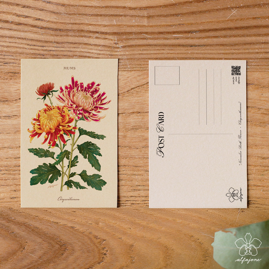 Chrysanthemum - November Birth Flower Postcard