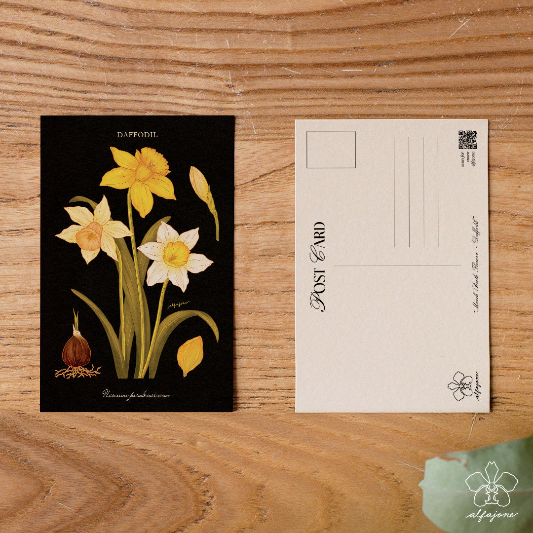Daffodil - March Birth Flower Postcard