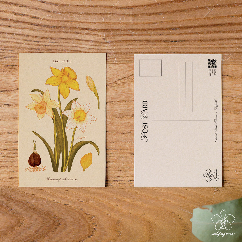 Daffodil - March Birth Flower Postcard