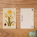 Daffodil - March Birth Flower Postcard