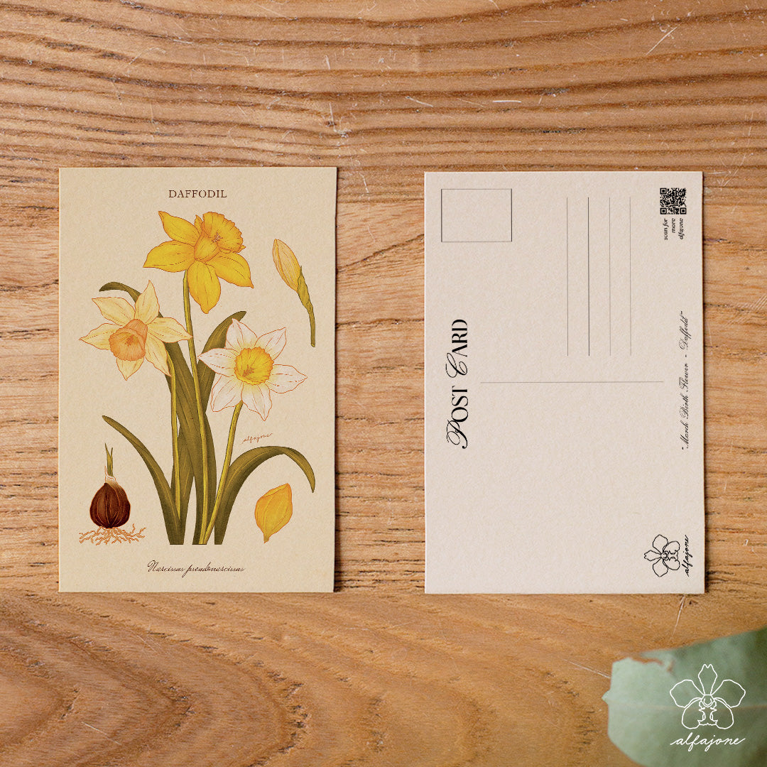 Daffodil - March Birth Flower Postcard