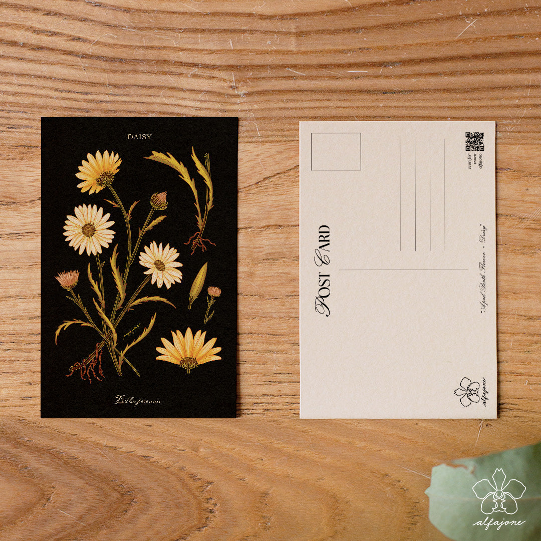 Daisy - April Birth Flower Postcard