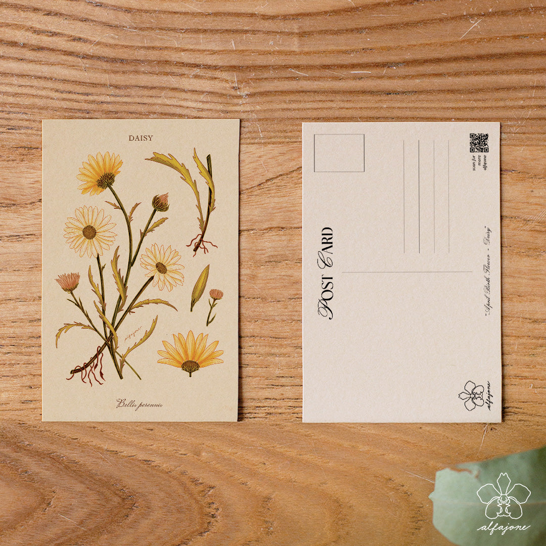 Daisy - April Birth Flower Postcard
