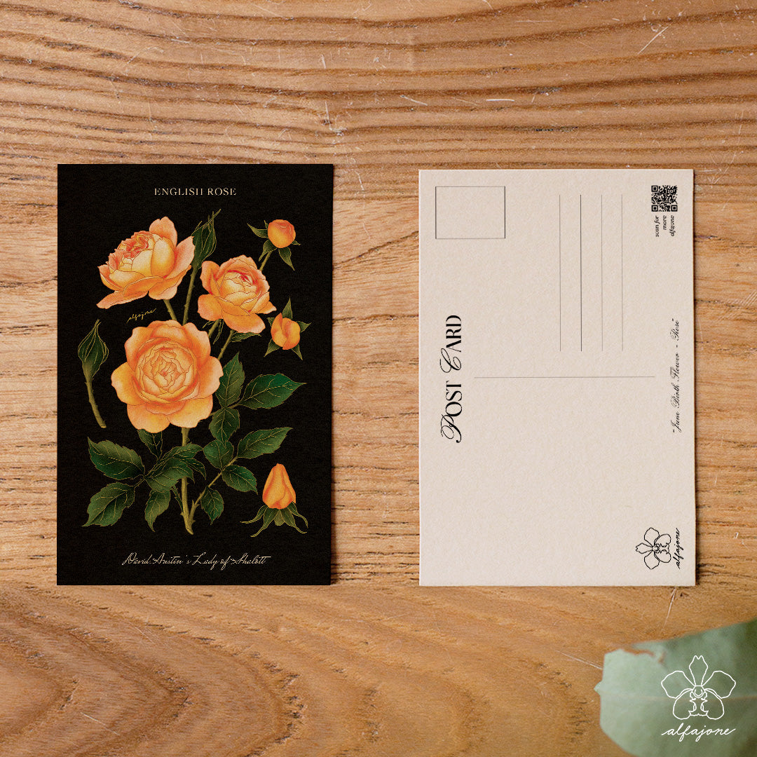 Rose - June Birth Flower Postcard