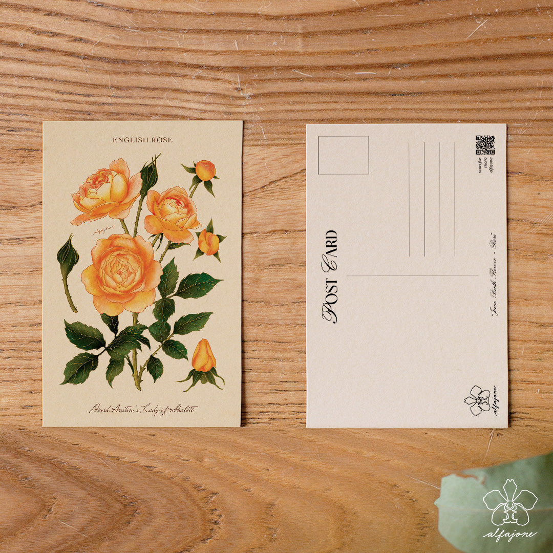 Rose - June Birth Flower Postcard