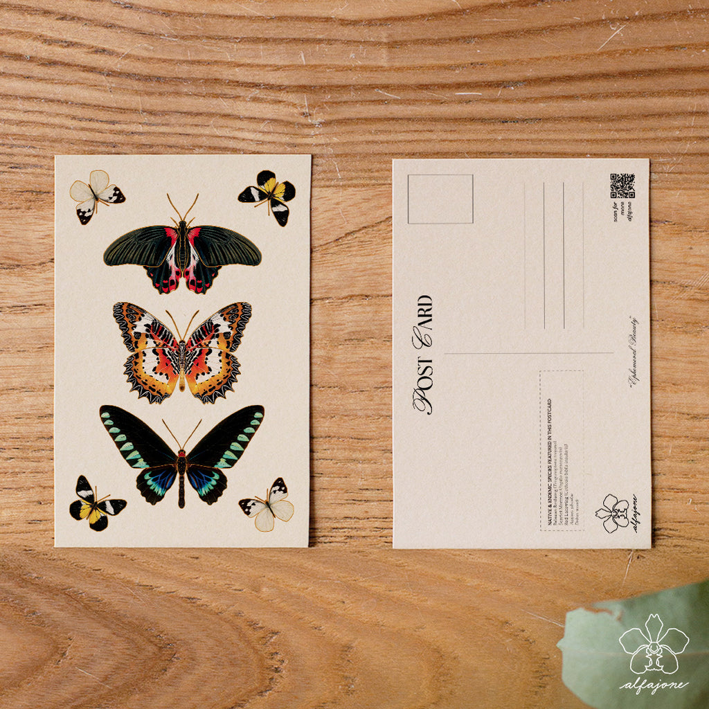 Ephemeral Beauty Postcard