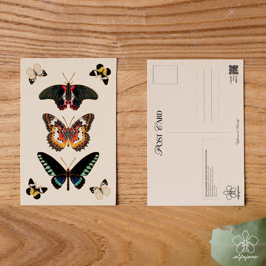 Ephemeral Beauty Butterflies Postcard