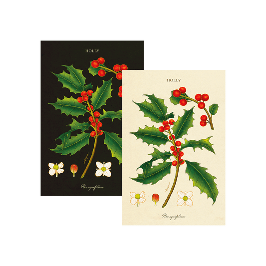 Holly - December Birth Flower Postcard