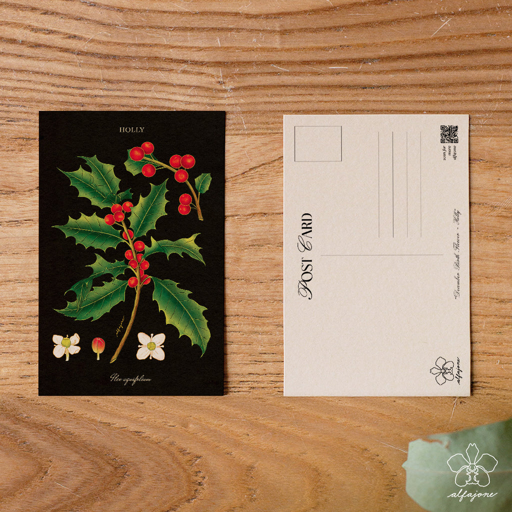 Holly - December Birth Flower Postcard