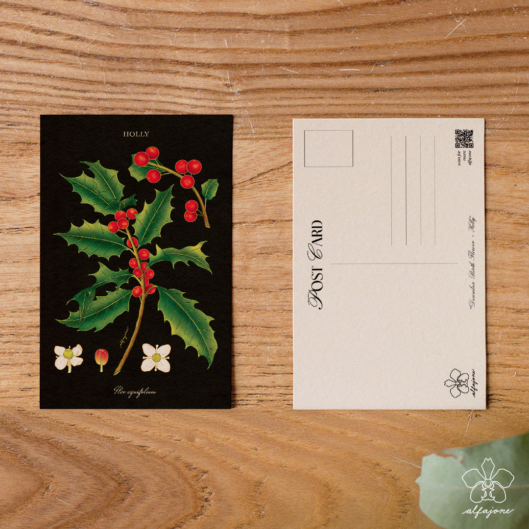 Holly - December Birth Flower Postcard