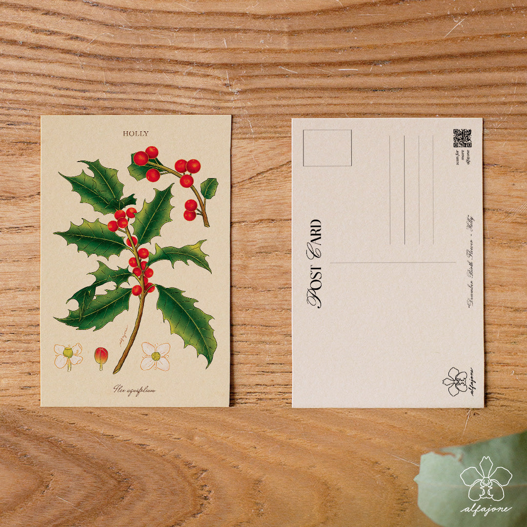 Holly - December Birth Flower Postcard