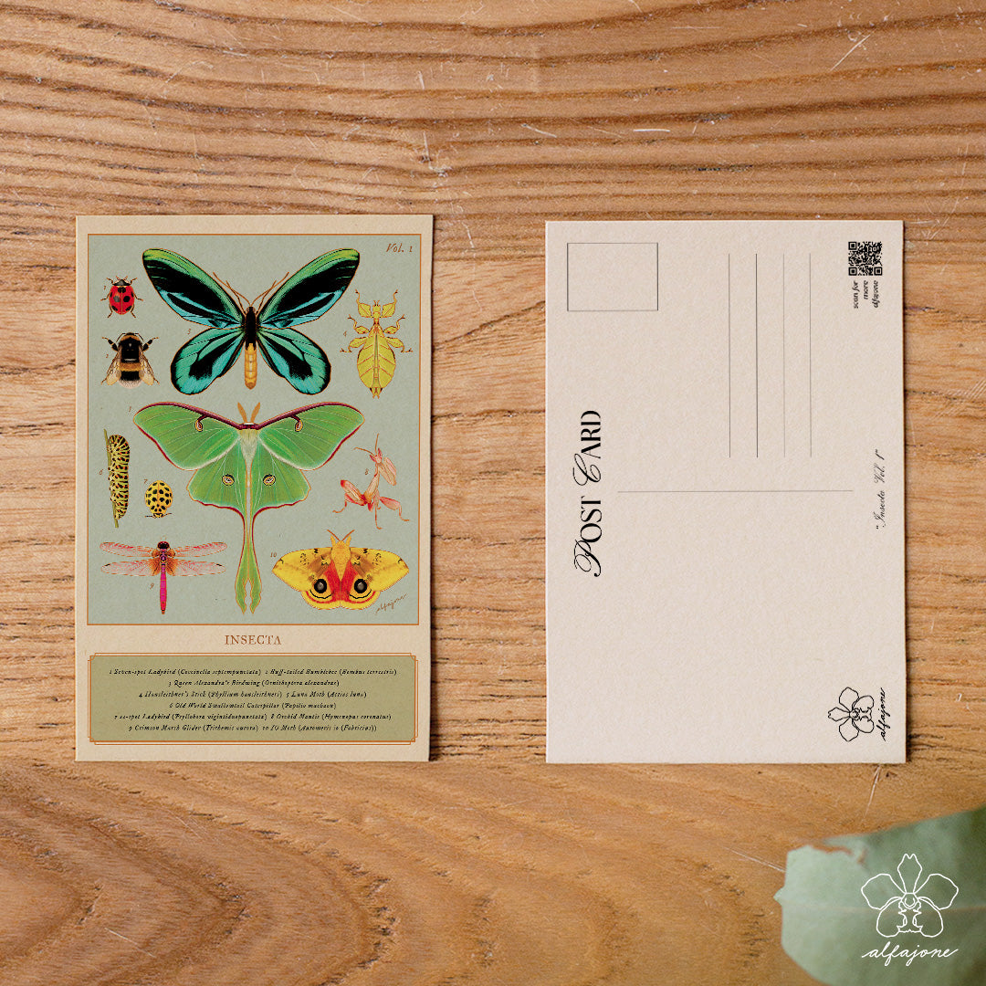 Insecta Vol. 1 Postcard