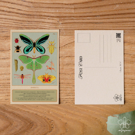 Insecta Vol. 1 Postcard