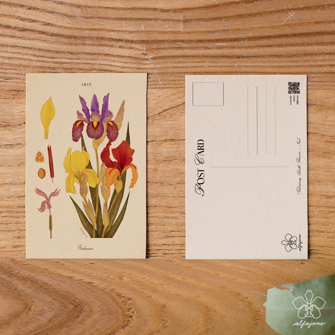 Iris - February Birth Flower Postcard