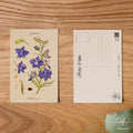 Larkspur - July Birth Flower Postcard