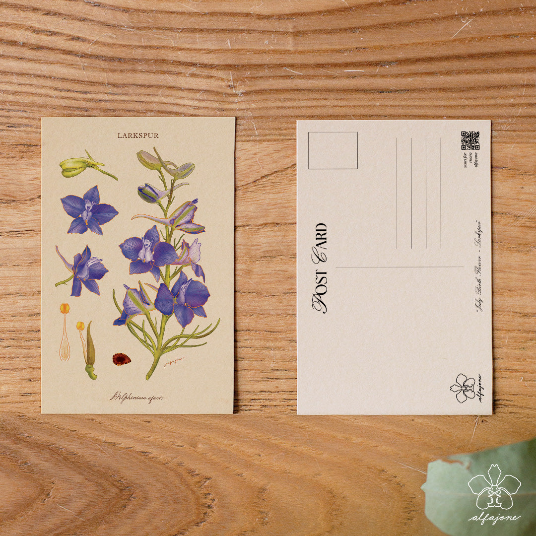 Larkspur - July Birth Flower Postcard